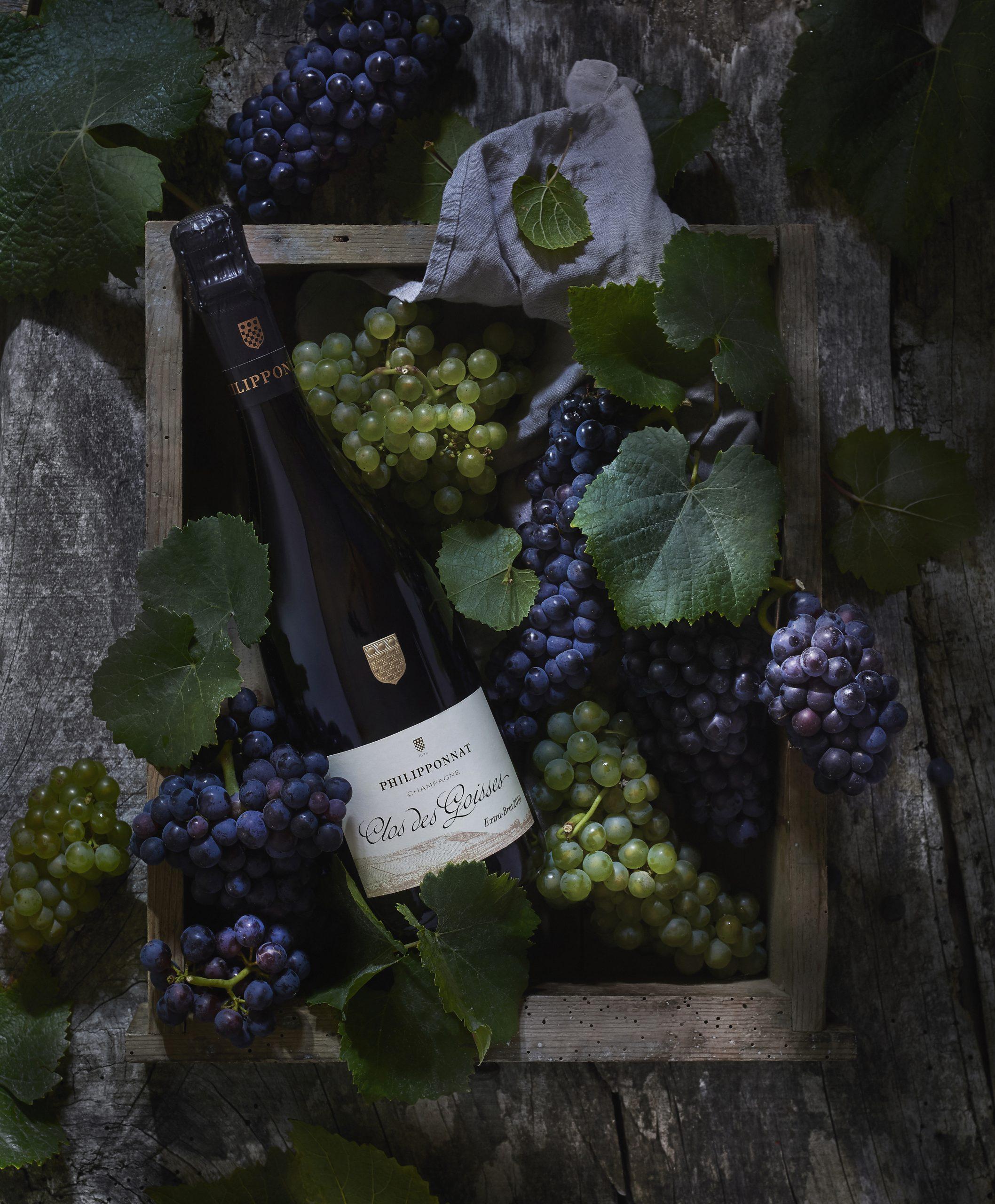 Clos des Goisses Extra-Brut 2009 - Champagne Philipponnat