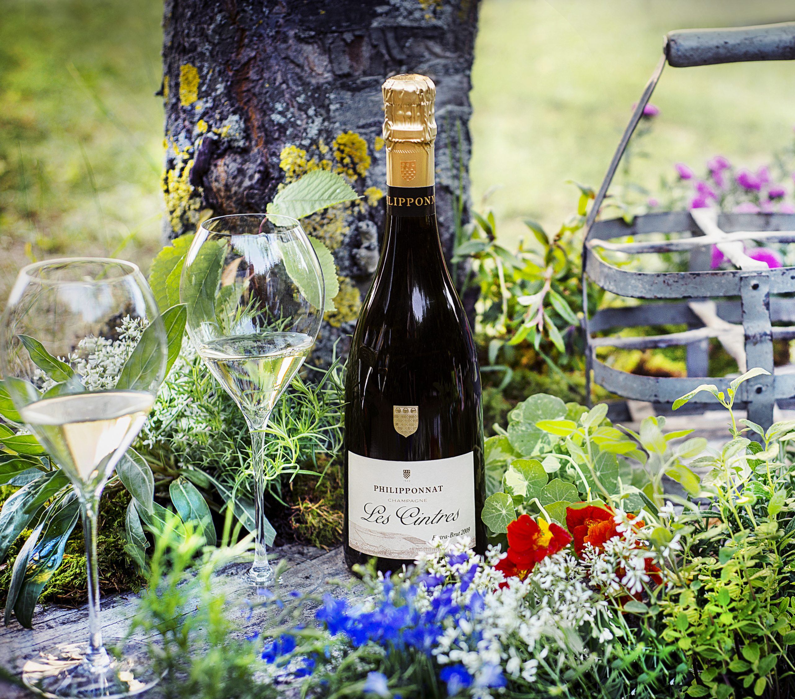 Les Cintres Extra Brut 2009 - Champagne Philipponnat